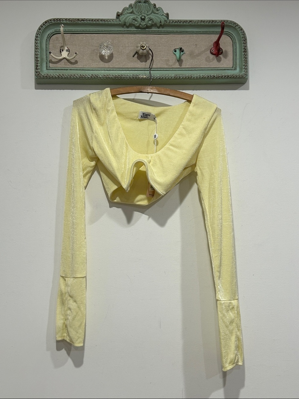 Urban outfitters tiger mist pastel Yellow Cropped Long-Sleeve Top small women’s